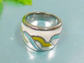 Stainless Steel Casting Ring
