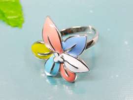 Stainless Steel Casting Ring
