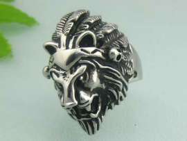 Stainless Steel Special Ring