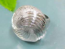 Stainless Steel Special Ring