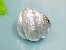 Stainless Steel Special Ring