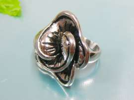 Stainless Steel Special Ring