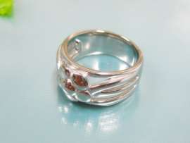 Stainless Steel Special Ring