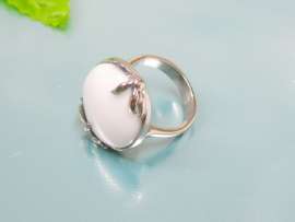 Stainless Steel Casting Ring