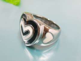 Stainless Steel Casting Ring
