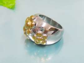 Stainless Steel Gold-plating Ring