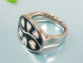 Stainless Steel Casting Ring