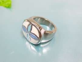 Stainless Steel Casting Ring