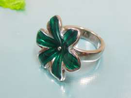 Stainless Steel Casting Ring