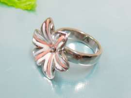 Stainless Steel Casting Ring