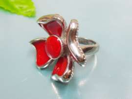 Stainless Steel Casting Ring