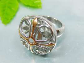 Stainless Steel Casting Ring