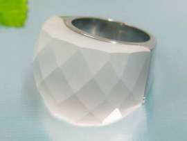 Stainless Steel Casting Ring
