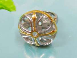 Stainless Steel Gold-Plating Ring