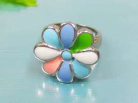Stainless Steel Casting Ring