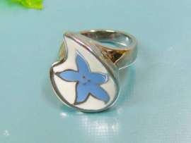 Stainless Steel Casting Ring