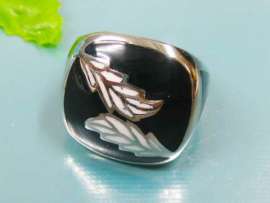 Stainless Steel Casting Ring