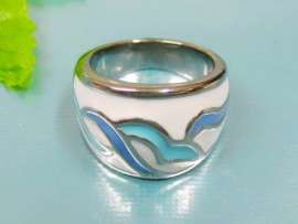 Stainless Steel Casting Ring