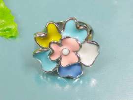 Stainless Steel Casting Ring