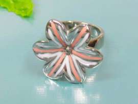 Stainless Steel Casting Ring