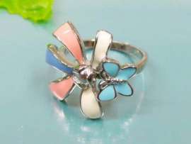 Stainless Steel Casting Ring