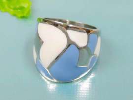 Stainless Steel Casting Ring
