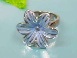 Stainless Steel Casting Ring