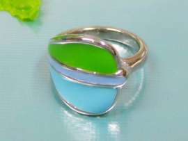 Stainless Steel Casting Ring