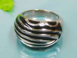 Stainless Steel Casting Ring