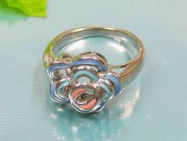 Stainless Steel Casting Ring