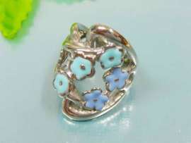Stainless Steel Casting Ring
