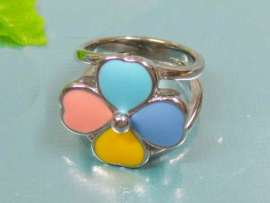 Stainless Steel Casting Ring