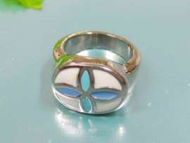 Stainless Steel Casting Ring