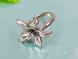 Stainless Steel Casting Ring