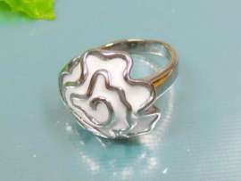Stainless Steel Casting Ring