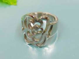 Stainless Steel Special Ring