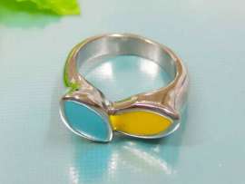 Stainless Steel Casting Ring