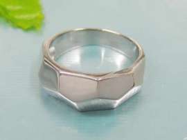 Stainless Steel Casting Ring