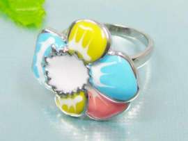 Stainless Steel Casting Ring