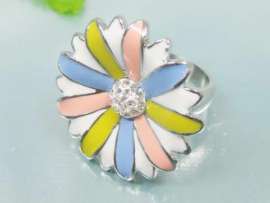 Stainless Steel Casting Ring