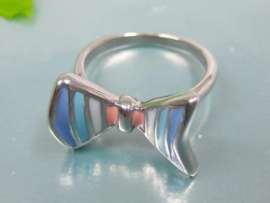 Stainless Steel Casting Ring