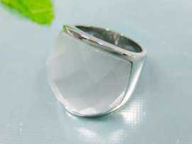 Stainless Steel Casting Ring