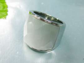 Stainless Steel Casting Ring
