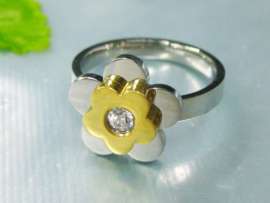 Stainless Steel Gold-Plating Ring