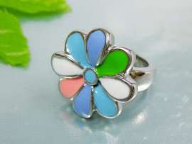 Stainless Steel Casting Ring