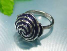 Stainless Steel Casting Ring