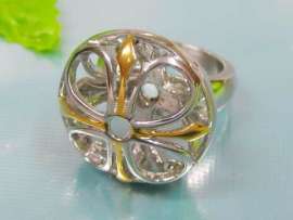 Stainless Steel Gold-plating Ring