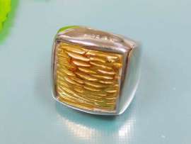 Stainless Steel Gold-plating Ring