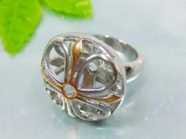 Stainless Steel Gold-plating Ring