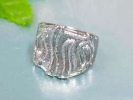 Stainless Steel Casting Ring